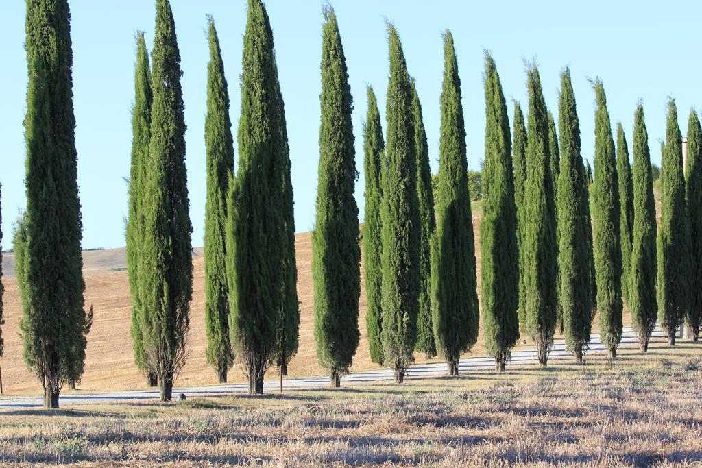 Appartamento La Terrazza sulla Val d'Orcia Castiglione dʼOrcia Esterno foto